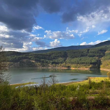 Zavojsko Jezero - Vila Jezero Pirot Exterior foto