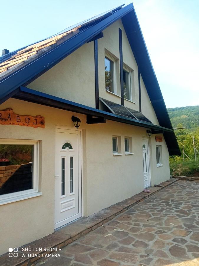 Zavojsko Jezero - Vila Jezero Pirot Exterior foto