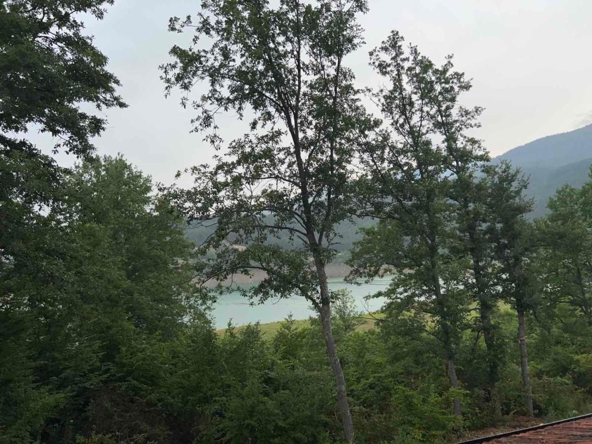 Zavojsko Jezero - Vila Jezero Pirot Exterior foto